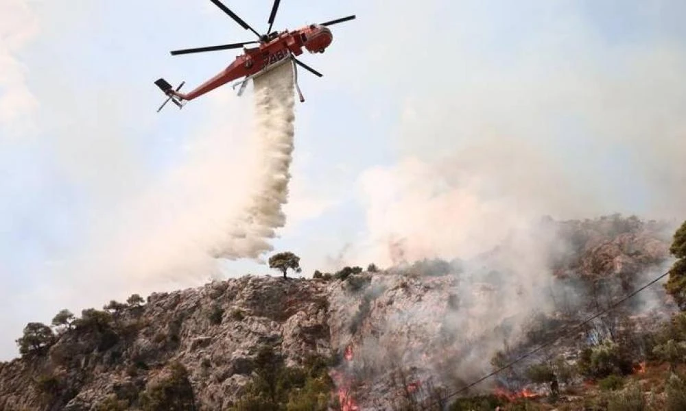 Φωτιά ξέσπασε σε δασική έκταση στο Πήλιο